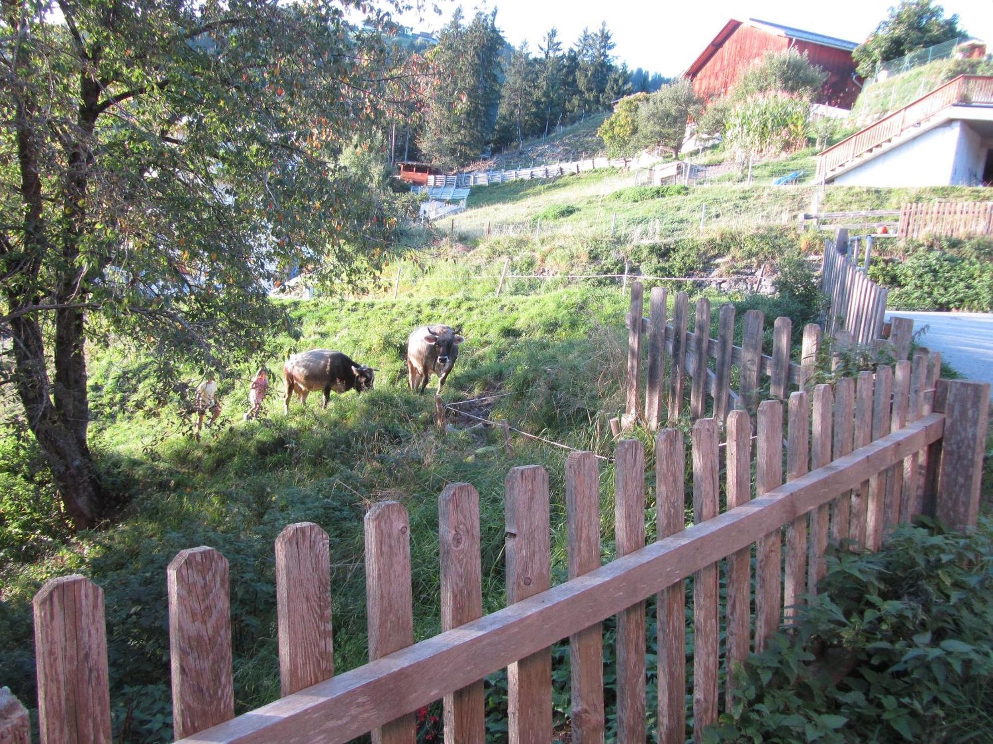 Haus Lentsch Kaunerberg Exterior foto